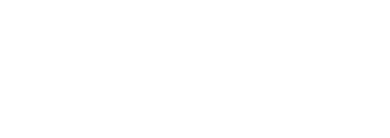 TheSellerProcess